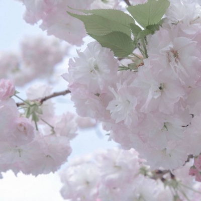 灵武FurryQQ群介绍